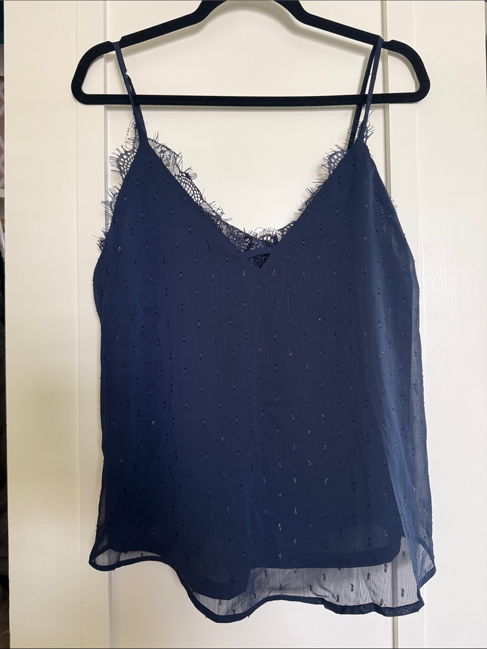 NWT Sheer Lace Top
